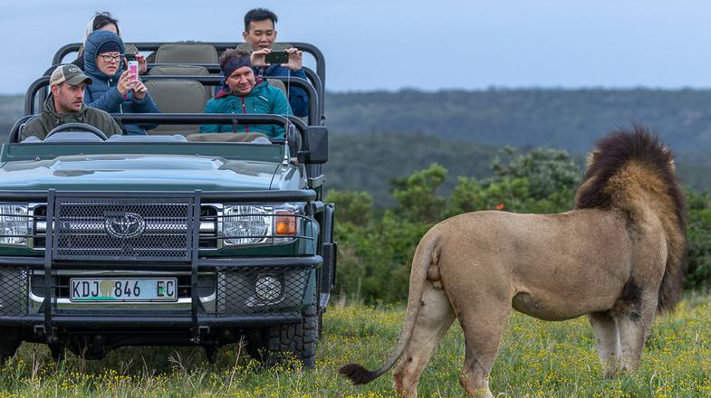 safaris-5_0004_Layer-6